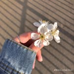 Jeanette A. Wilkinson - @jeanetteawilkinson44 - Instagram