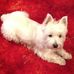 Jeanette Wilkinson - Facebook