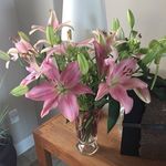 Jeanette T. Workman - @nettework44 - Instagram