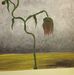 Jeanettee Workman - Facebook