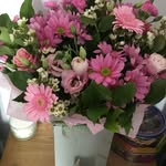 Jeanette Wright - @jeanettewright98 - Instagram