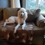 Jeanie Conner - @jeanie.conner.75 - Instagram