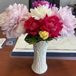 Jeanie Connolly - @connollyjeanie - Instagram