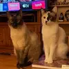 jeanieford578 - @jeanieford578 - TikTok