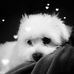 Jeanie Harrison - Facebook