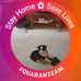 Jeanie Kirkpatrick Tucker - Facebook