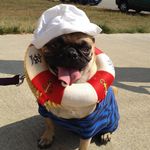 Jeanie Mitchell - @muttlvr3 - Instagram
