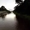 jeaniethomas573 - @jeaniethomas573 - TikTok