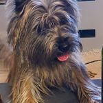 Marie Jeanine Berry - @marieberry5140 - Instagram