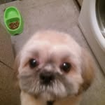Janine fleming - @janine4573 - Instagram