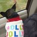 Jeanne St John - Facebook