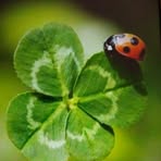 Jeanine Keller - Facebook