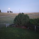 Jeanine Larson - @larsonjeanine6 - Instagram
