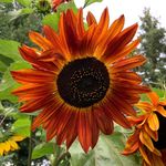 Jeanine Larson - @jlarson45 - Instagram