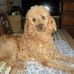 Janine Ray - Facebook