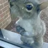 user8006105245954 - @jeannie.yeager0 - TikTok