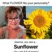 Jeanna Gray Eisnaugle - Facebook