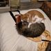 Jeanne Albert - Facebook