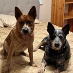 Jeanne Barnes-Davis - @ajaxdadingo - Instagram