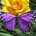 Jeannie Barnes - Facebook
