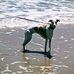 Jeanne C Bingham - Facebook
