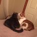 Jeanne Brewer - Facebook