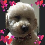 Jeanne Brewer Riggs - @jk_riggs - Instagram