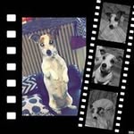 Bryan Jeanne - @bryan.jeanne.56 - Instagram