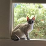 Jeanne Casey Manos - @jeanmanos - Instagram