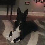Jeanne Cooke - @cookemom4 - Instagram
