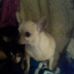 Jeanne Crow - Facebook