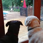Jeanne Crownover - @jeannecrownover - Instagram