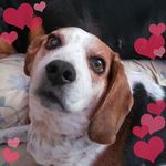 Jeanne Dempsey - @carouselle86 - Instagram