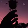 jeannedillen2 - @jeannedillen2 - TikTok