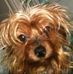 Jeanne Dodd - Facebook