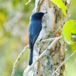 Jeanne Dodd - @photos_by_jeanne_dodd - Instagram