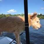 Jeanne Doerr - @jeannedoerr - Instagram