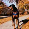 jeanneelder525 - @jeanneelder525 - TikTok