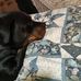 Jeanne Ewing - Facebook