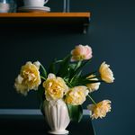 Jeanne Ferrell - @jeanneferrell908643 - Instagram