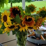 Jeanne Ferrell Crain - @jeannecrain - Instagram