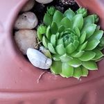 Jeanne Field - @jfield128 - Instagram