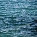 Jeanne Fleck - Facebook