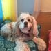 Jeanne Freeman - Facebook