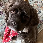 Jeanne Freeman - @jeanne.freeman.52 - Instagram