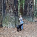 Jeanne Galloway - @galloway3551 - Instagram