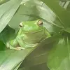 Janine Gerber - @ts.67347 - TikTok