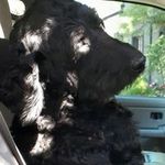 Jeanne gilbert - @jeanne1940grandma - Instagram