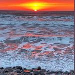 Jeanne Gilbert - @jeannegilbert47 - Instagram