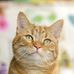 Jeanne Granger - Facebook